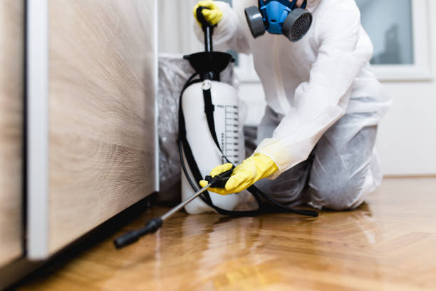 Best Exterminator Services  in Palmyra, NJ