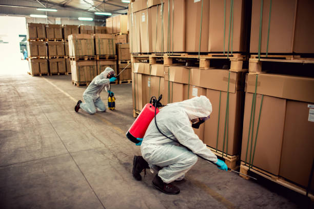 Best Wasp Removal Services  in Palmyra, NJ
