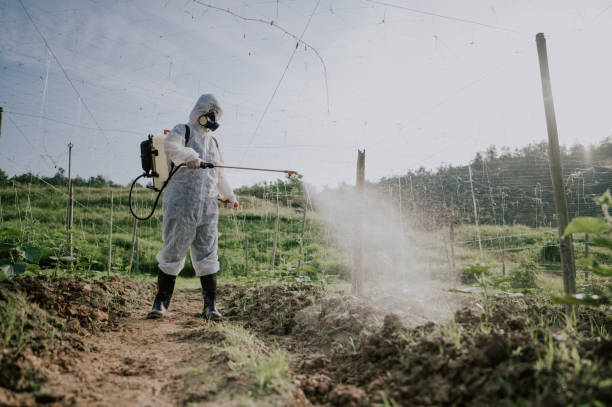 Best Commercial Pest Control Services  in Palmyra, NJ