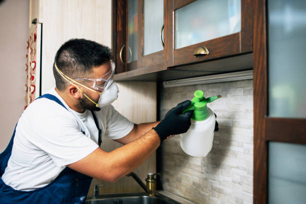 Best Pest Prevention Services  in Palmyra, NJ