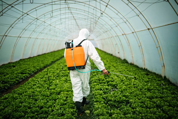 Best Affordable Exterminators  in Palmyra, NJ
