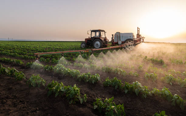 Best Commercial Pest Control Services  in Palmyra, NJ