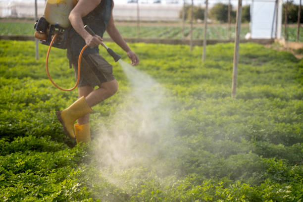 Best Pest Removal Services  in Palmyra, NJ