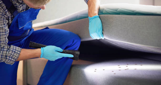 Best Pest Control Near Me in Palmyra, NJ