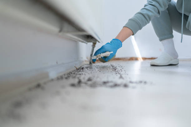 Best Pest Removal Services  in Palmyra, NJ